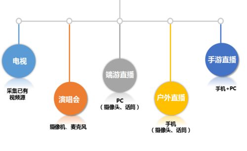 直播平臺軟件開發的全流程探索 云豹直播源碼 csdn博客